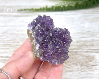 Amethyst Cluster #13