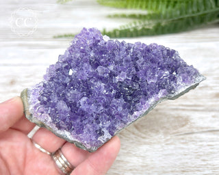 Amethyst Cluster #2