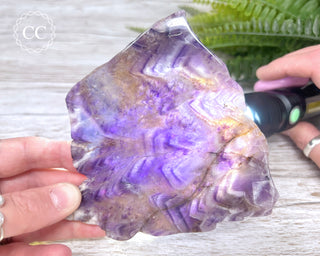 Moroccan Amethyst Slice #6