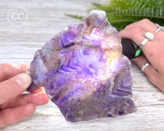 Moroccan Amethyst Slice #6