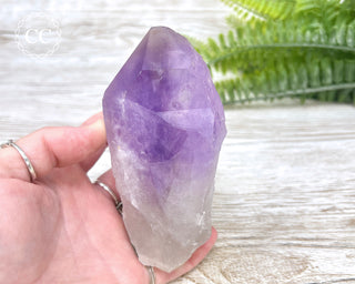 Amethyst Crystal #3