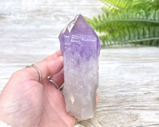 Amethyst Crystal #3