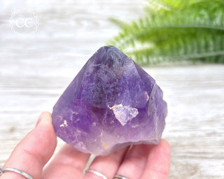Amethyst Crystal #6