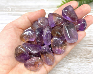 Ametrine Tumbled Crystal