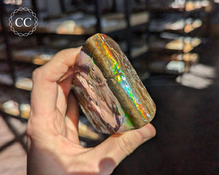 Korite Ammolite #1