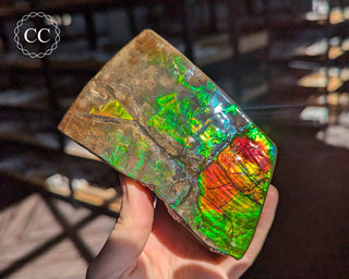 Korite Ammolite #1
