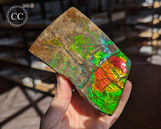 Korite Ammolite #1