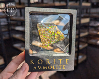 Korite Ammolite #5