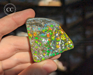 Korite Ammolite #5