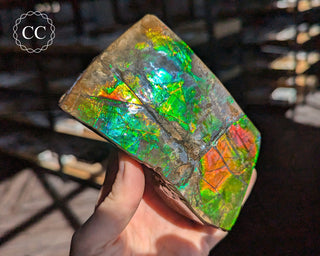 Korite Ammolite #1