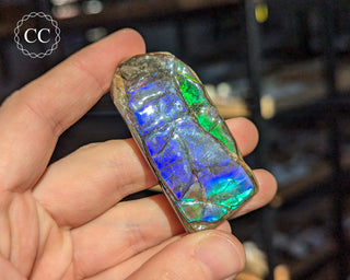 Korite Ammolite #9