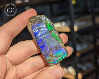 Korite Ammolite #9