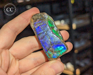 Korite Ammolite #9