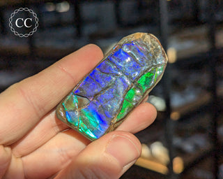 Korite Ammolite #9