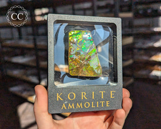 Korite Ammolite #11