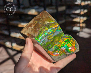 Korite Ammolite #1