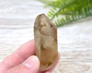Amphibole Quartz Freeform #2