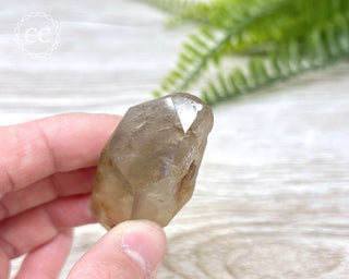 Amphibole Quartz Freeform #2