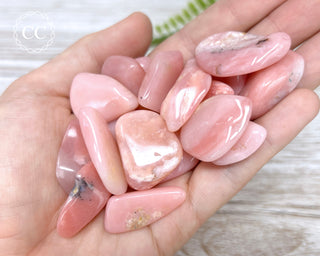 Andean Pink Opal Tumbled Crystals in hand