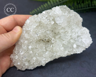 Apophyllite Cluster #3