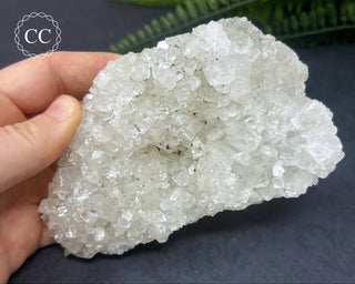 Apophyllite Cluster #3