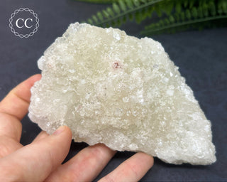Apophyllite Cluster #3