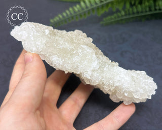 Apophyllite Cluster #3