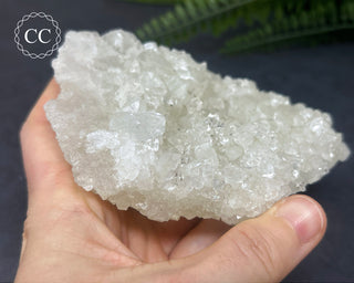 Apophyllite Cluster #3