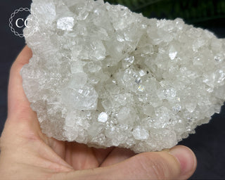 Apophyllite Cluster #3