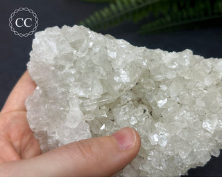 Apophyllite Cluster #3