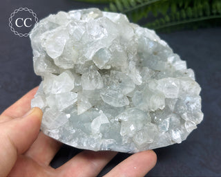 Apophyllite Cluster #4