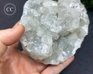 Apophyllite Cluster #4