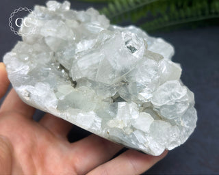 Apophyllite Cluster #4