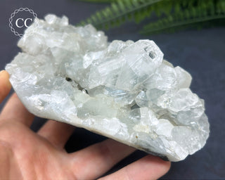 Apophyllite Cluster #4