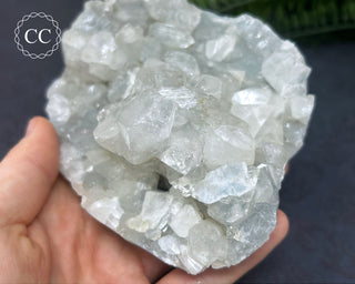 Apophyllite Cluster #4