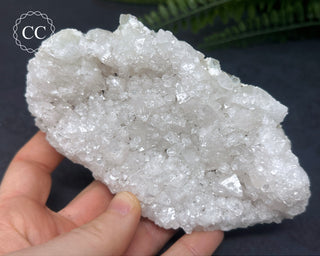 Apophyllite Cluster #5