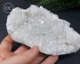 Apophyllite Cluster #5