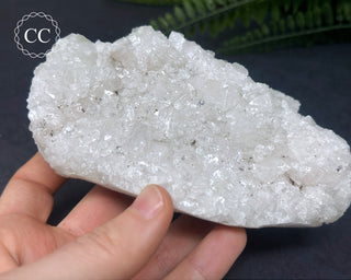 Apophyllite Cluster #5