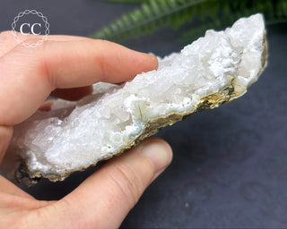 Apophyllite Cluster #5
