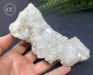 Apophyllite Cluster #6