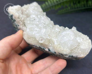 Apophyllite Cluster #6