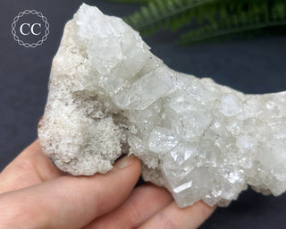 Apophyllite Cluster #6