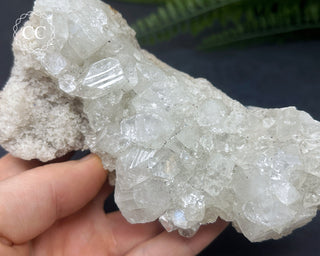 Apophyllite Cluster #6