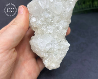 Apophyllite Cluster #6