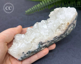 Apophyllite Cluster #6