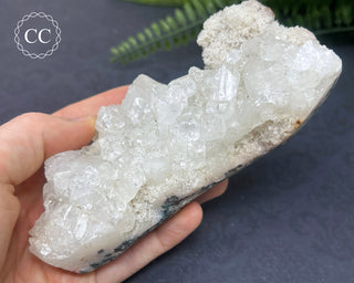 Apophyllite Cluster #6