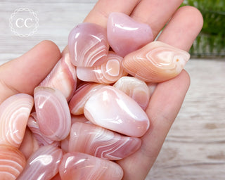 Apricot Agate Tumbled Crystals in hand
