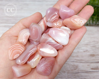 Apricot Agate Tumbled Crystals in hand
