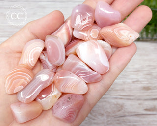 Apricot Agate Tumbled Crystals in hand