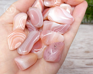 Apricot Agate Tumbled Crystals in hand